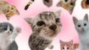 The Great Big Nothing Discord server banner