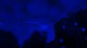 𝖇𝖑𝖚𝖊 💙 Discord server banner