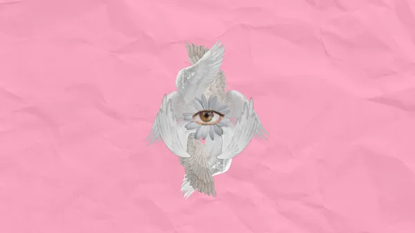 splash