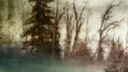 𓏵 𝖦𝖾𝗄𝗄𝗈𝗎 𝗉𝖺𝗋𝖺𝖽𝖾 𓈒 ✙ Discord server banner