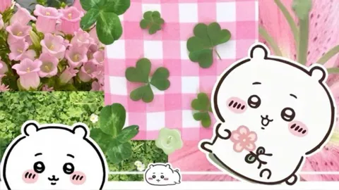 ⋆ ˚。⋆୨𝒥𝒾-𝒞𝒽𝒶𝓃𝒵୧⋆ ˚。⋆ splash