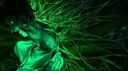 METAMORPHOSIS Discord server banner