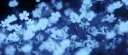 Camp Elysium Discord server banner