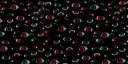 𝐕𝐚𝐦𝐩 𝐂𝐚𝐯𝐞 splash