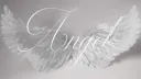 splash