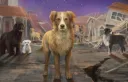 Survivor Dogs: Community Discord Discord server banner