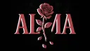 alma splash
