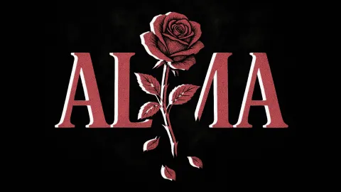 alma splash