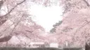 ๐๐ช๐ฅ๐๐ง๐ฃ๐ค๐ซ๐ โฆ ๐๐๐๐๐ ๐๐๐๐ค๐ค๐ก ๐๐ฅ (18+) Discord server banner