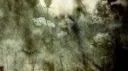 ocland Discord server banner