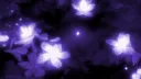 ༘ ˚⋆𐙚。𝐀𝐛𝐲𝐬𝐬' 𝐛𝐥𝐢𝐬𝐬𝐟𝐮𝐥 𝐬𝐚𝐧𝐜𝐭𝐮𝐚𝐫𝐲 ✨ `𖦹.✧˚ Discord server banner