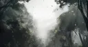 splash