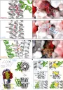 BiochemCord Discord server banner