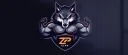 ZP ESPORTS splash