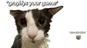Verital Vault Discord server banner