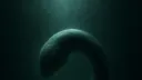 Embryo 9 splash