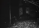 𝐏𝐚𝐫𝐚𝐧𝐨𝐫𝐦𝐚𝐥𝐢𝐭𝐲 18+ Discord server banner