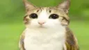 WarnsProductions Discord server banner