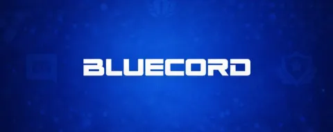 🔹 BlueCord 🔹 splash