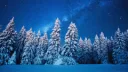 Frosty's Paradise Discord server banner