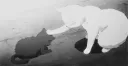 KAITS KULT Discord server banner