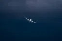 splash
