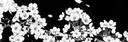 .Starlight Discord server banner