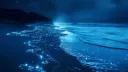Serene Escape Discord server banner