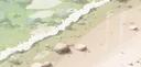 scribbles Discord server banner