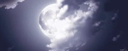 Velvet Moon