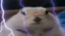 Insane cord Discord server banner