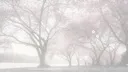⻔֥ᜒ 。 . /ᥴh͟o͟ᥱ͟r͟ry 𝄞 #dj2ℓ Discord server banner