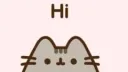 The Tiny Pusheen Cult ౨ৎ ˖ ࣪⊹ Discord server banner