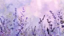 raisu's e-kittens Discord server banner