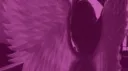 .• divine ⊹ Discord server banner
