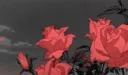 The Basement Discord server banner