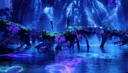 eywa's reach ༉⋆ Discord server banner