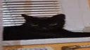 XXXXXXXX Discord server banner