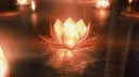 P H Ø E N I X 🔥 Discord server banner