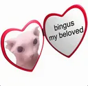 Bingus Society Discord server banner