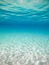 splash