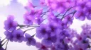 tuliip 🌷 Discord server banner