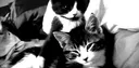les Discord server banner