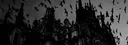𝒱𝓪𝓷𝓭𝓪𝓵 Discord server banner