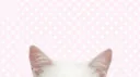 Sleepy people Discord server banner