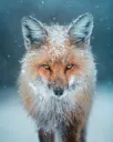 ᨒ↟ The Pine Lodge ✧˖° Discord server banner