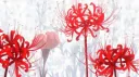 ︵ тσкуσ gнσυℓ ◌Ⳋ Discord server banner