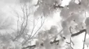 ˚₊‧ social ‧₊˚ Discord server banner