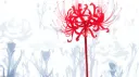 entity ¹⁸⁺ Discord server banner