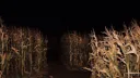 ꜱᴏᴍᴇᴛʜɪɴɢ'ꜱ ᴡʀᴏɴɢ ᴡɪᴛʜ ᴍᴇʀᴛᴏɴ'⁹⁹ Discord server banner